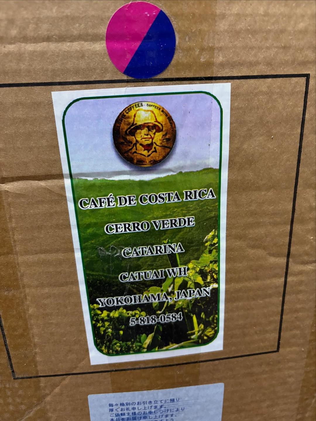 コスタリカ　レオンコルテス　「セロ・ベルデ」　シティロースト