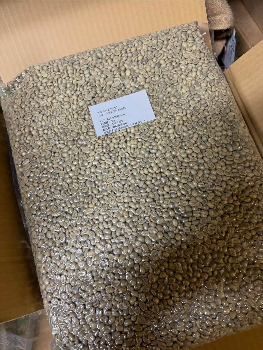 このみ珈琲 久しぶりをエチオピア　イルガチェフェG1が入荷