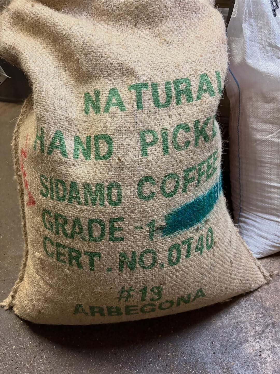 このみ珈琲 エチオピア　ナチュラルの新豆